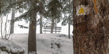 Zelená skala v pohorí Branisko