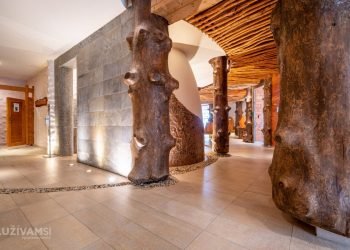 Hotel Partizán **** – Hotel v lese, les v hoteli